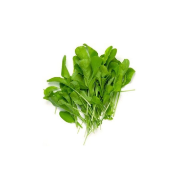 Spinach Microgreens (पालक मायक्रोग्रीन्स)